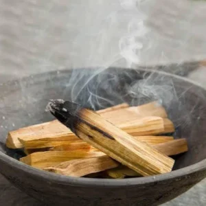 Spiritual Palo Santo Sticks/Holy Woods